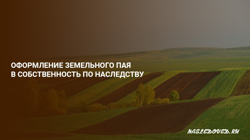 Назначение земельного пая. Пай земли сельхозназначения по наследству. Оформление земельного пая в собственность. Земельный Пай в колхозе. Как оформить земельный Пай в собственность.